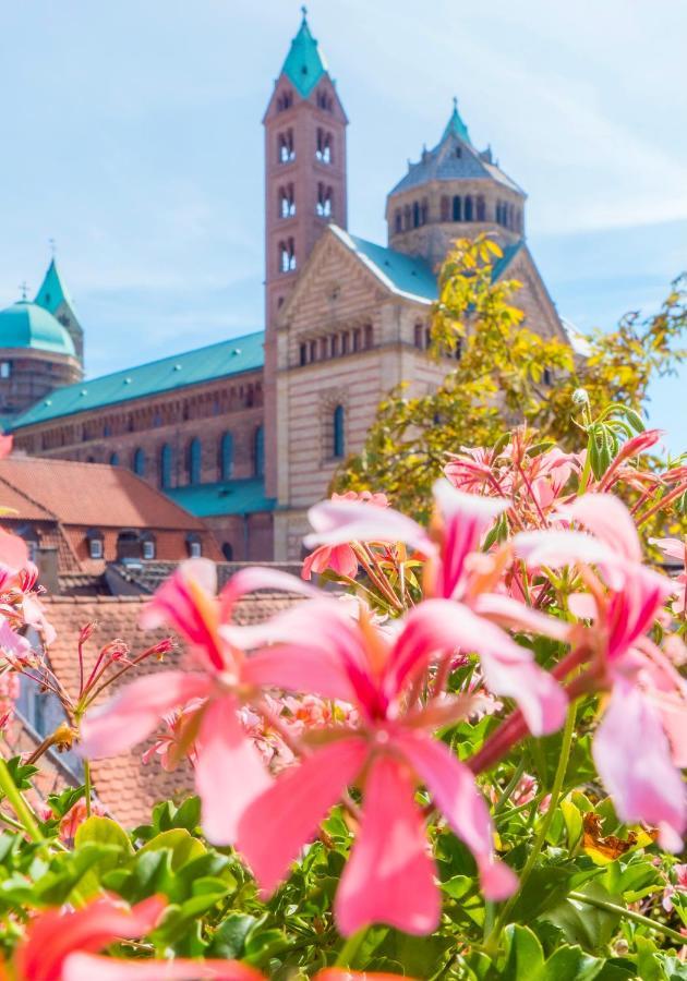 Hotel Domhof Spira Zewnętrze zdjęcie